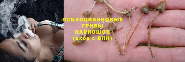 2c-b Нефтекумск