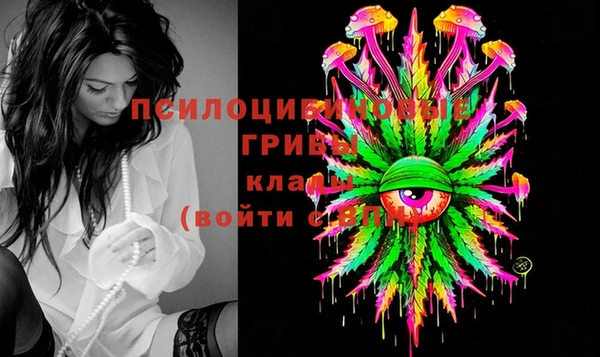 дмт Кемь