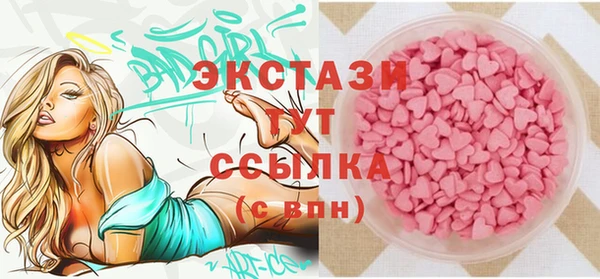 ешки Инта